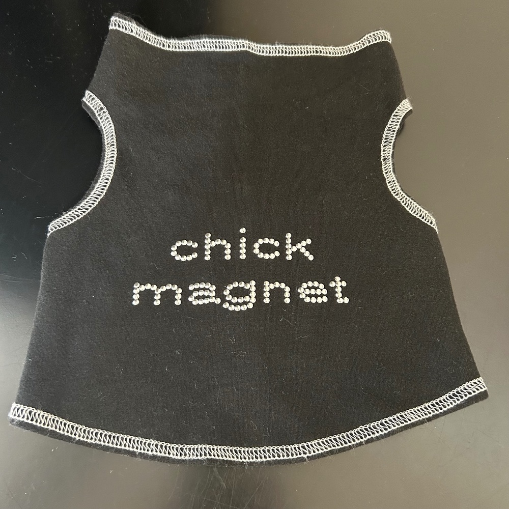 Dog Magnet T-Shirt. NWOT.